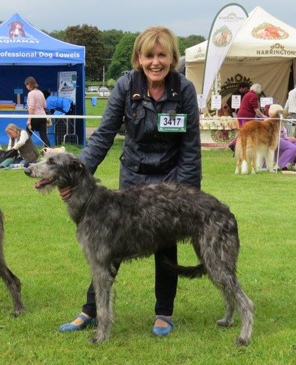 Southern Counties Dog Show Results Southern Counties Dog Show Results